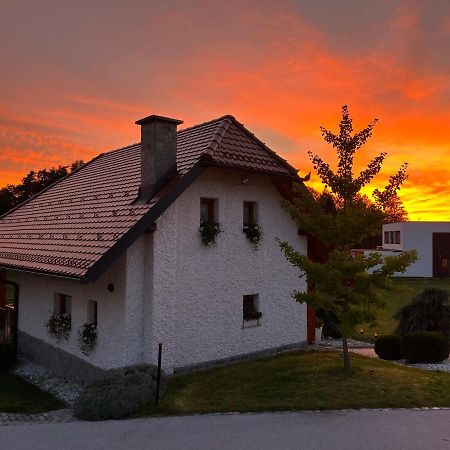 Holiday Home Dobrotin Vojnik Exterior photo