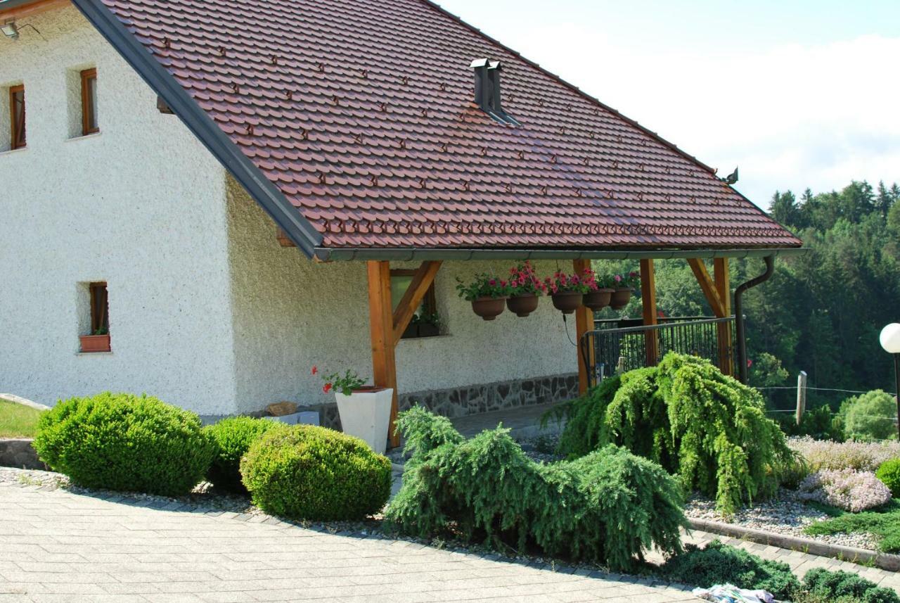 Holiday Home Dobrotin Vojnik Exterior photo